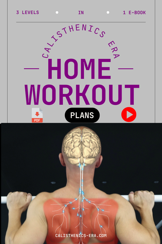 Calisthenics Era™: Pro Video Plans